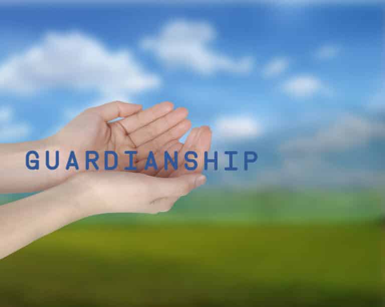 what-is-an-emergency-temporary-guardianship-lifeskills-south-florida